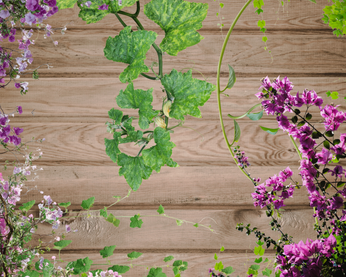 Floral arch with purple and green flowers against a wooden fence background
